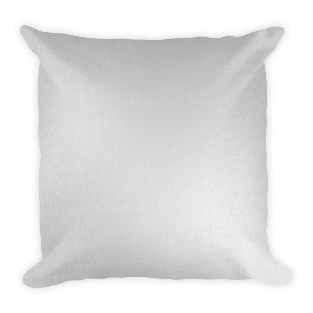 Best Place To Buy Throw Pillow